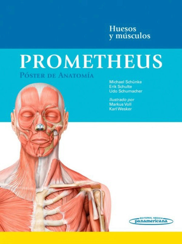 Prometheus. Póster de Anatomía. Huesos y músculos – UNIVERSAL BOOKS